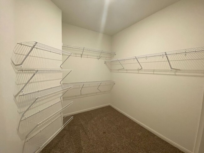 Building Photo - The newly built 4 bedroom and 2 bath home ...