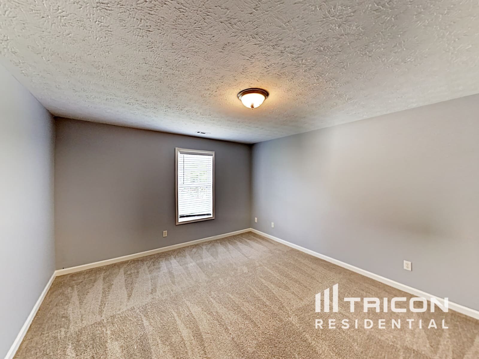 Building Photo - 309 Bellevue Ridge
