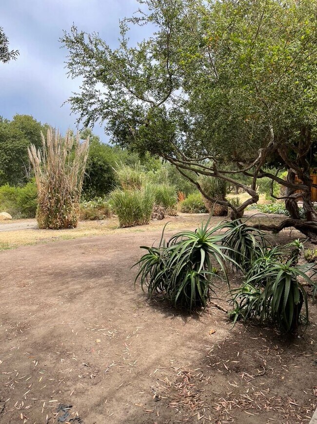 Building Photo - 850 Camino Lindo