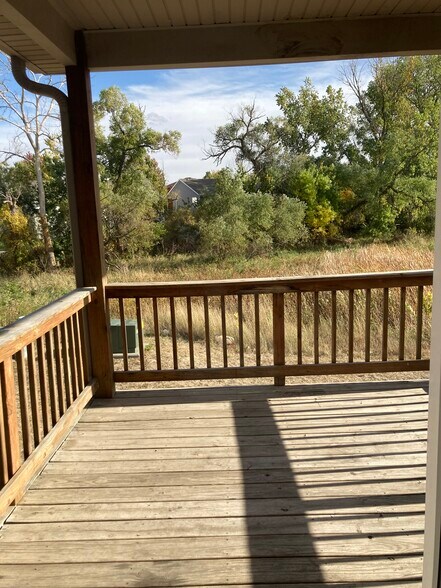back deck - 1121 Turtle Creek Rd