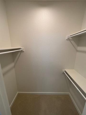 Building Photo - 820 Cavitt Ct