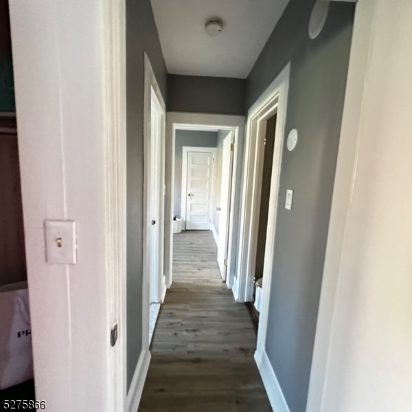 Building Photo - 46 Elmwood Ave