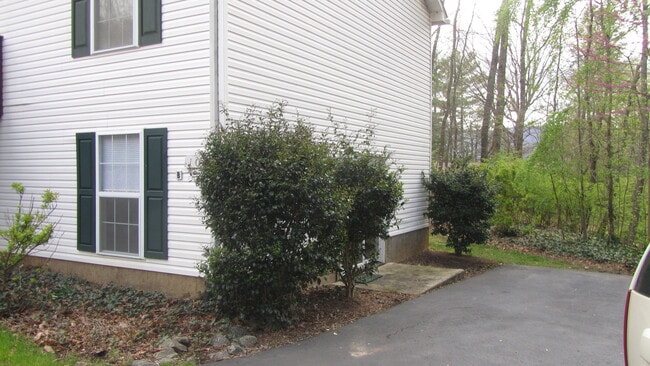 Building Photo - Black Mountain Duplex -Downstairs Unit