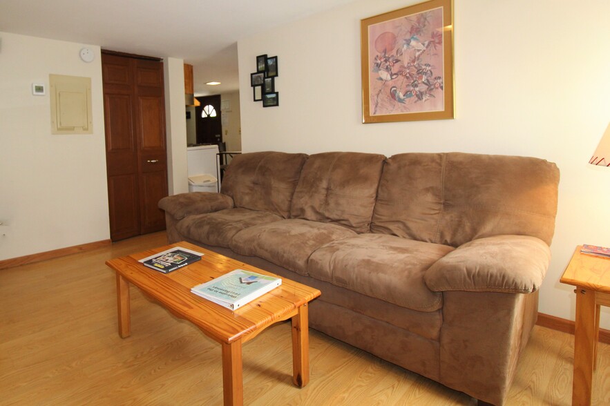 Fully furnished ground floor apartment - 119 Chestnut St