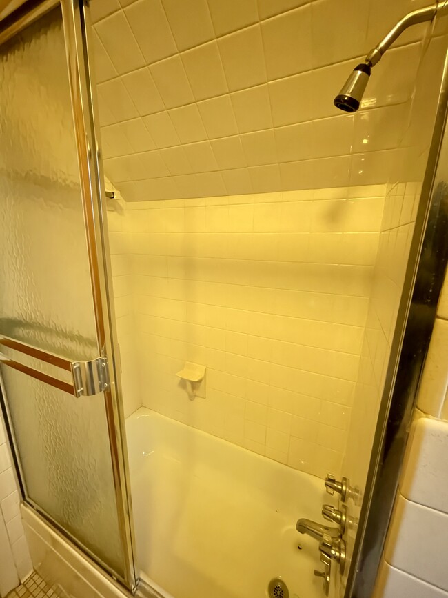 Full bathroom - 1231 Washtenaw Rd