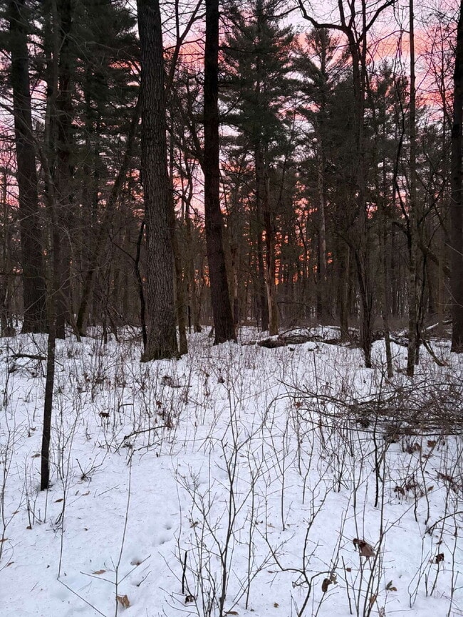 Building Photo - Designer 4 Bedroom Home with Sauna and Walk-Out Lower Level - Available May or June 1st