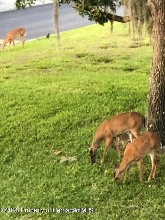 Building Photo - 6452 River Run Blvd