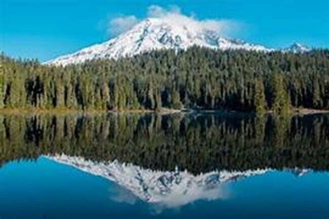 Building Photo - 10715 186th St Ct E