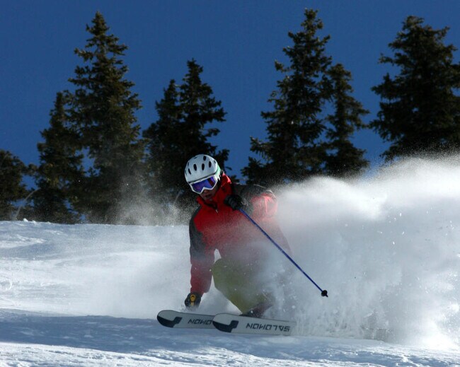 Building Photo - 705 Nogal Rd