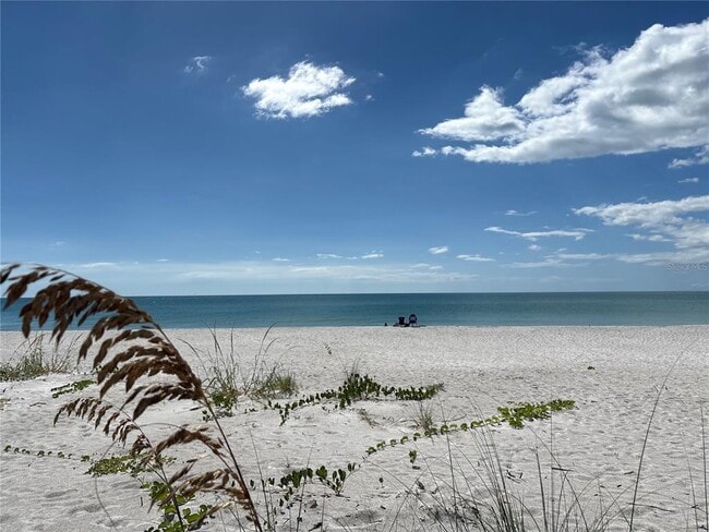 Building Photo - 2823 Gulf of Mexico Dr