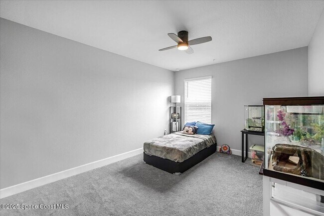 Building Photo - 1541 Pecorino Ct