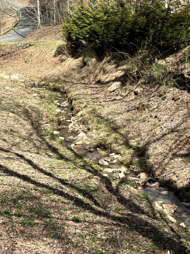 Building Photo - New Homestead: A Private, Tranquil, and Spacious Home