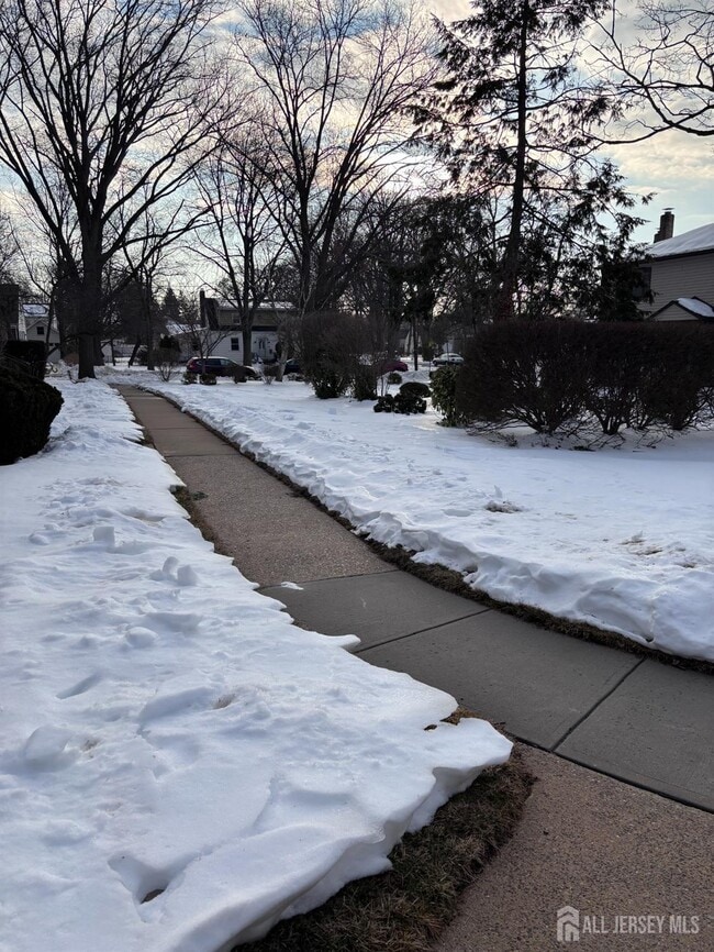 Building Photo - 215 Rose St