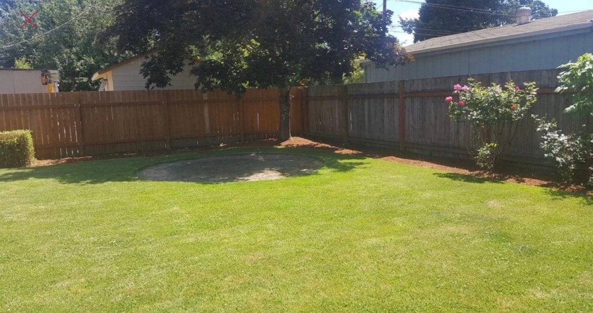 Building Photo - 360 Columbia St NE