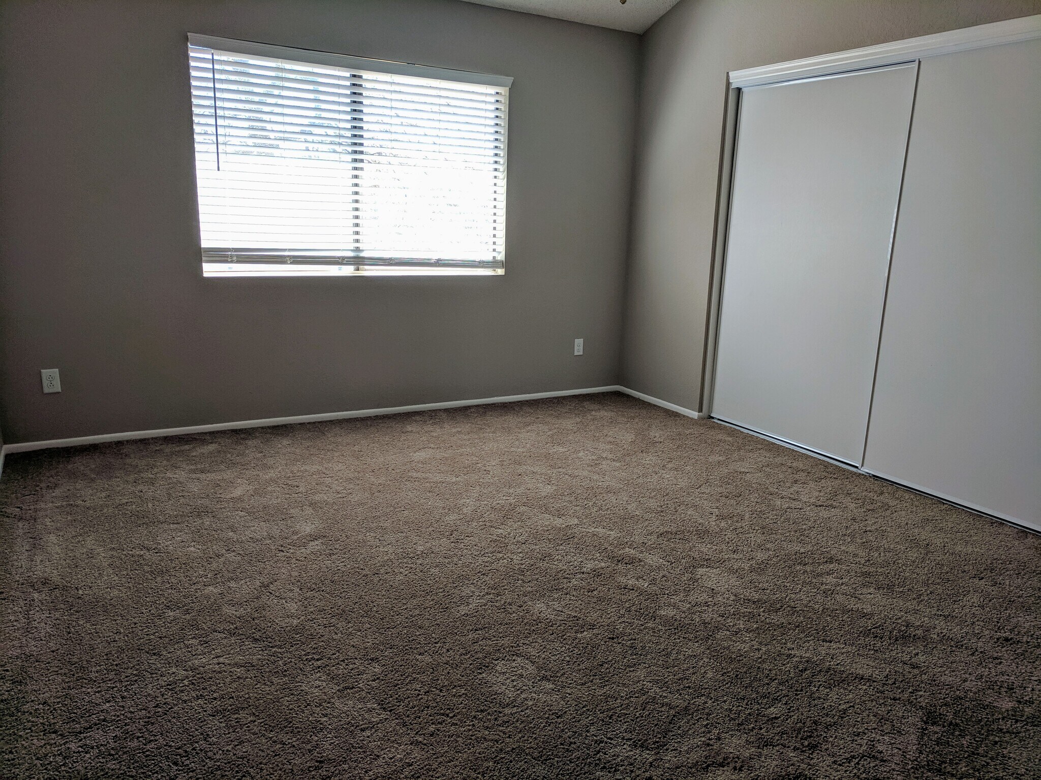 primary bedroom - 4608 W Maryland Ave