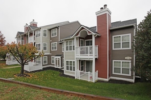 Building Photo - Treetops at ChesterHollow