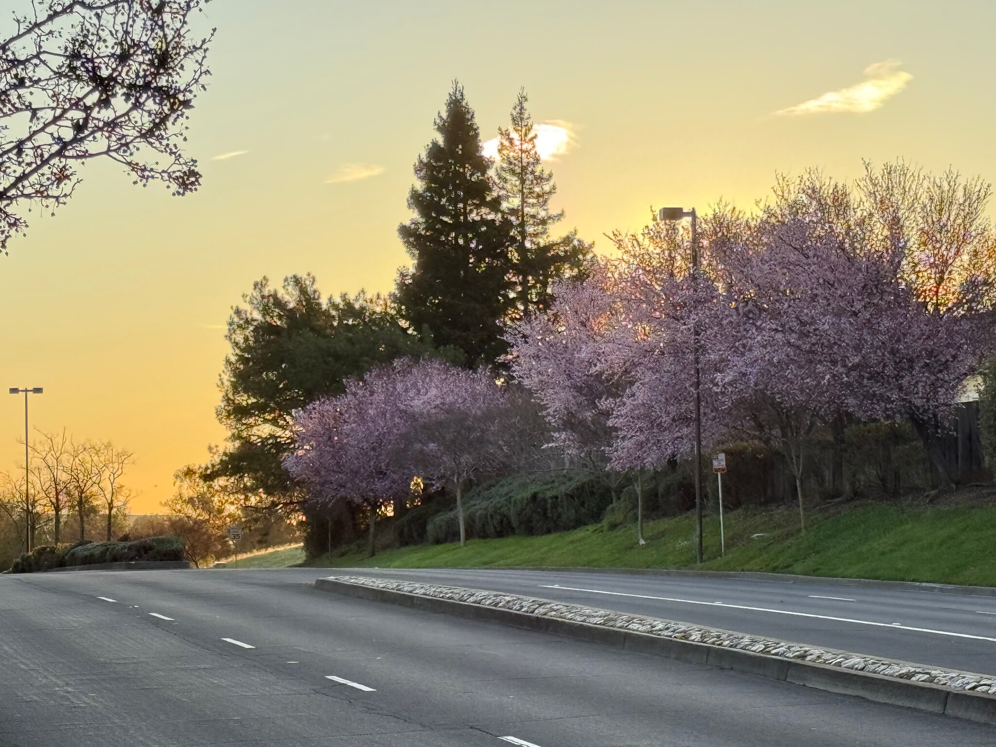 Building Photo - 2033 Silvercrest Dr