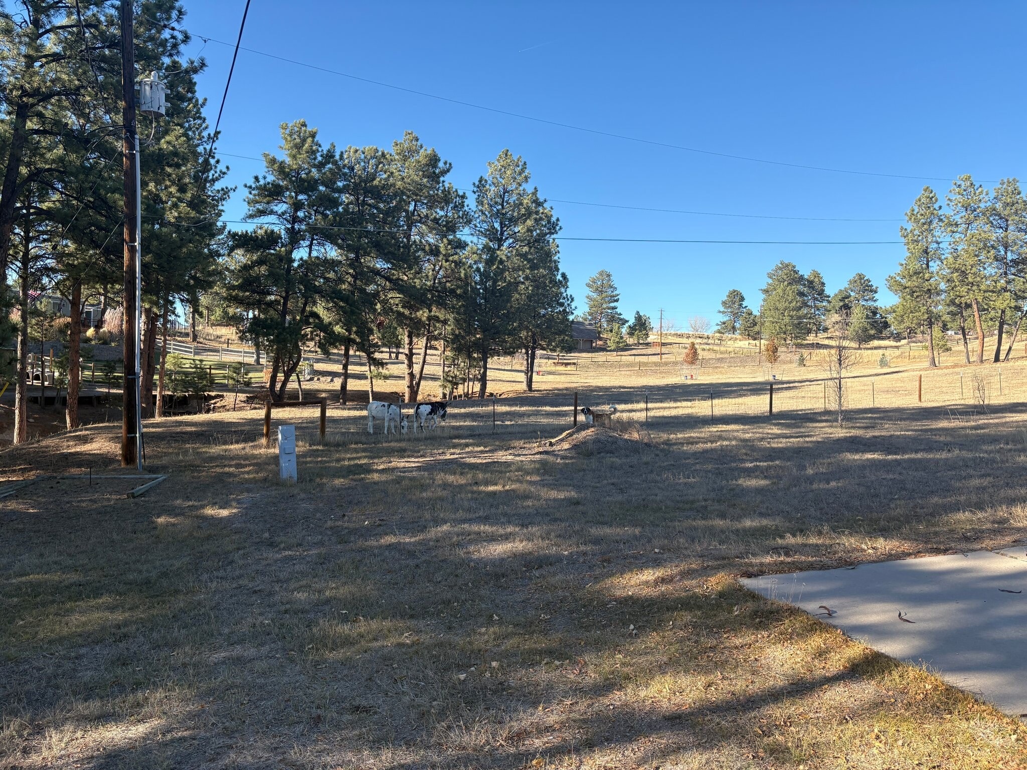 Building Photo - 8374 Piney Creek Rd