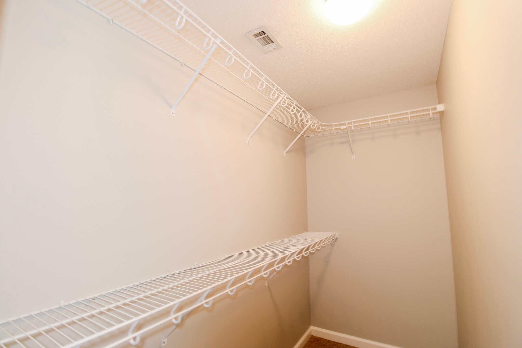 Building Photo - 60 Palmetto Pines Cir