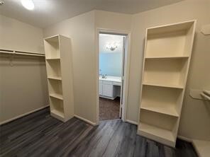 Building Photo - 12919 Deer Cove Ln