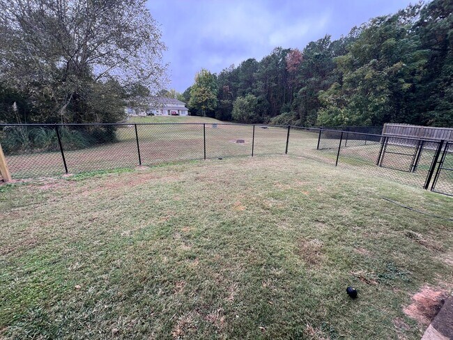 Building Photo - Taleeda 444-446