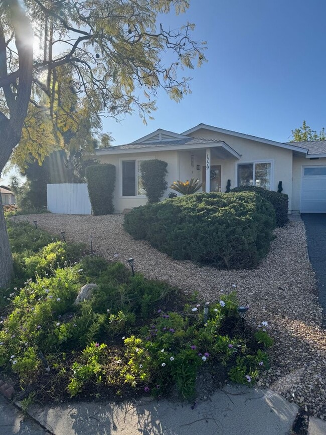 Building Photo - +55 Community, 2 BD with AC