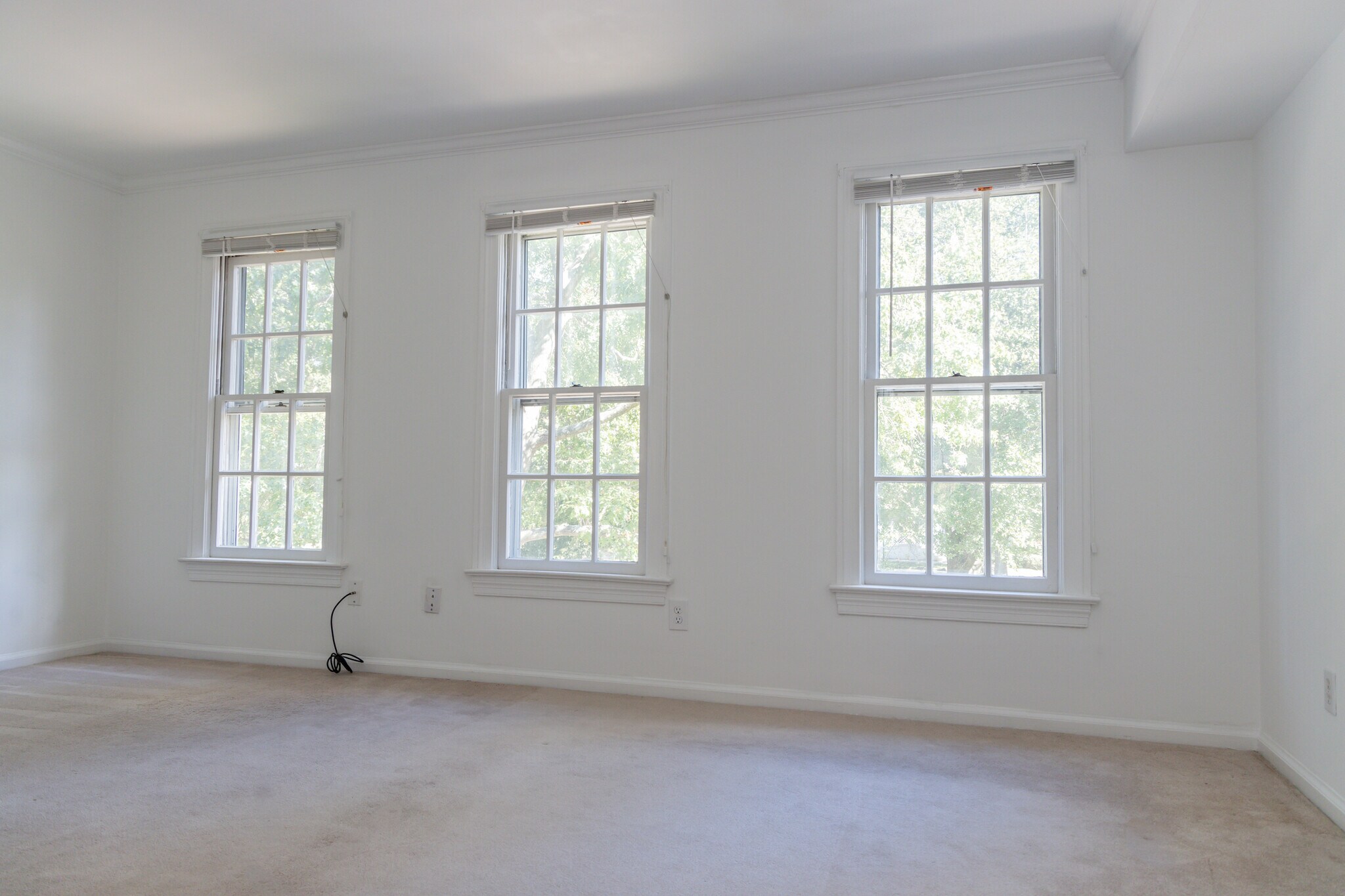 Building Photo - 817 Botetourt Gdns