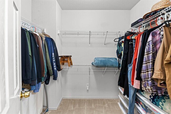 Building Photo - 1400 Orange Spice Ct