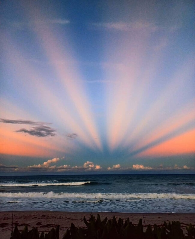 Primary Photo - 8600 Ridgewood Ave