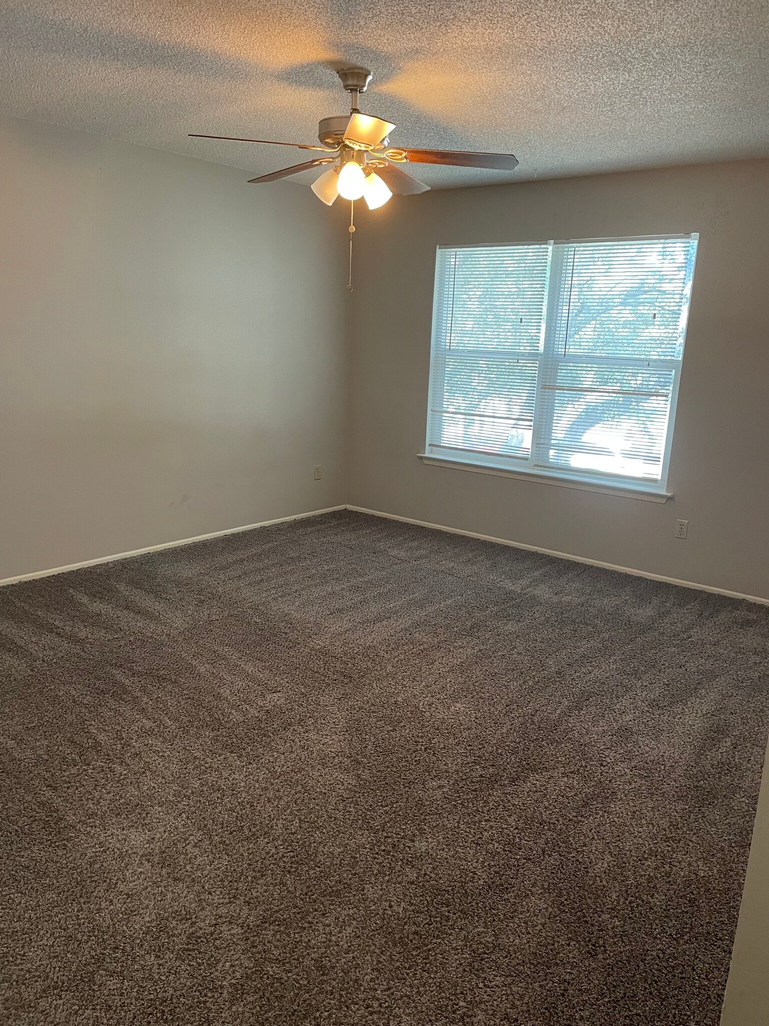 Building Photo - 11136 El Sendero St