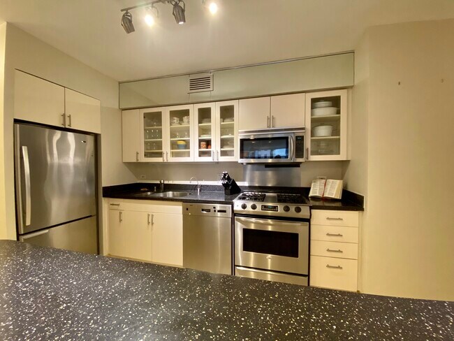 Kitchen - 1000 N Lake Shore Dr