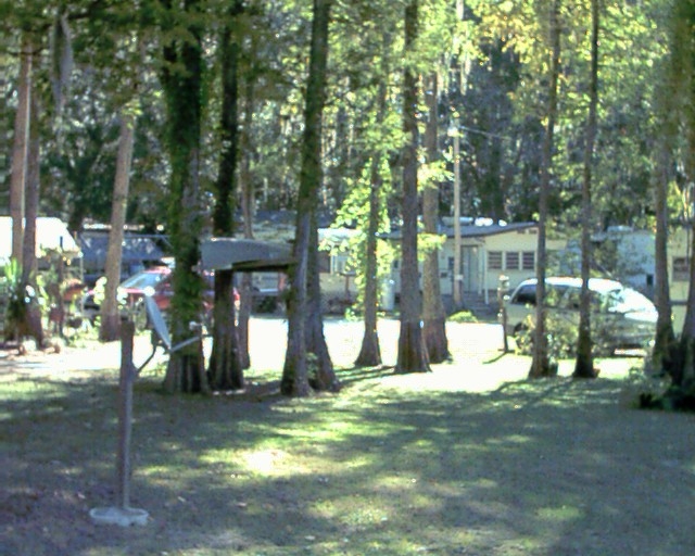 Common Area - Duval Paradise RV/MH Park