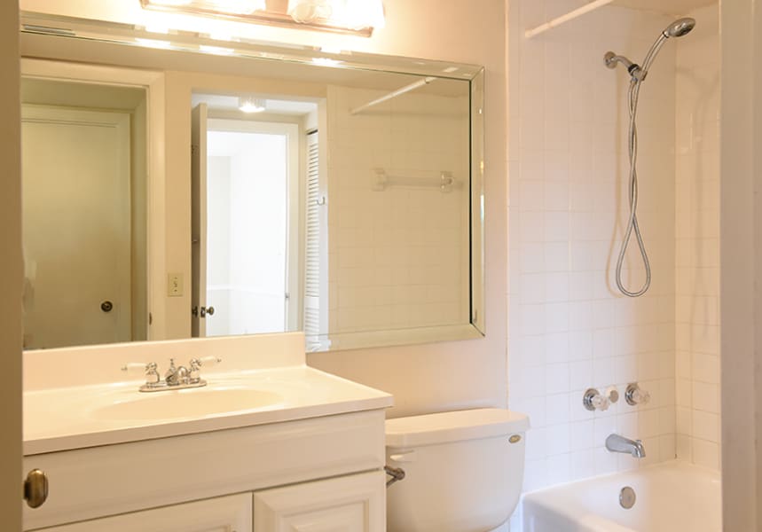 bathroom - 4850 Sable Pine Cir