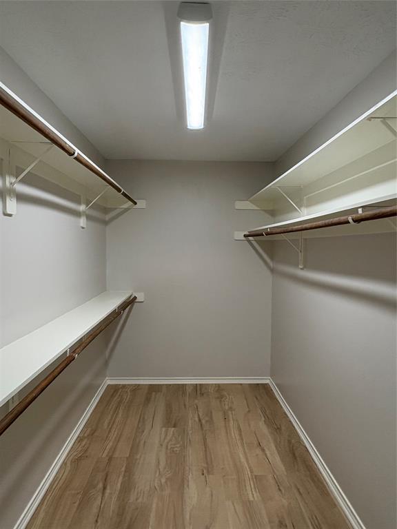 Building Photo - 21742 Orange Maple Ct