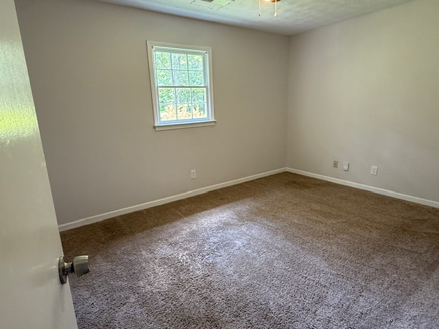 Building Photo - 3906 Willowbrook Dr