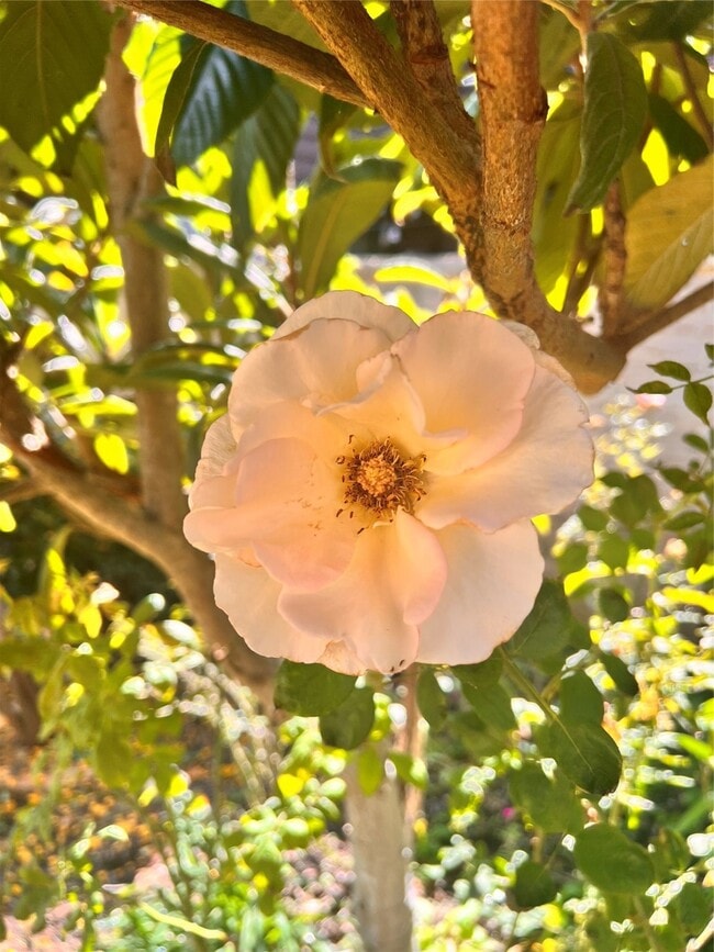 Building Photo - 2400 McCue Rd