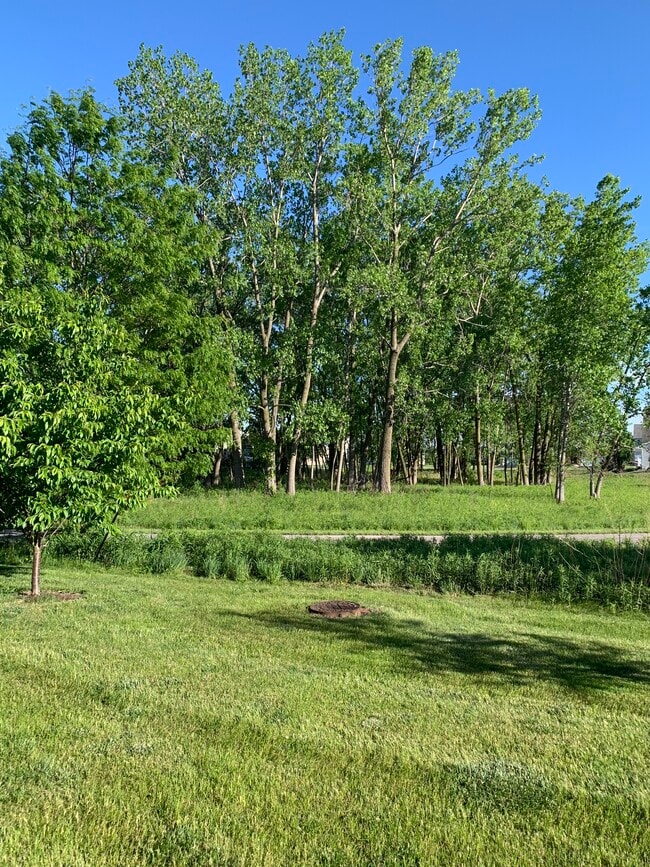 Building Photo - 2528 Basin Trail Ln