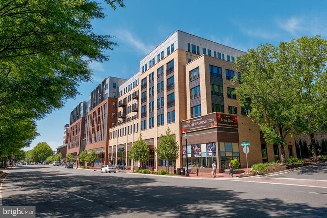 Building Photo - 102 Lounsbury Pl
