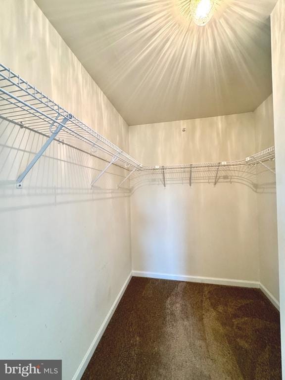 Building Photo - 152 Brookland Ct