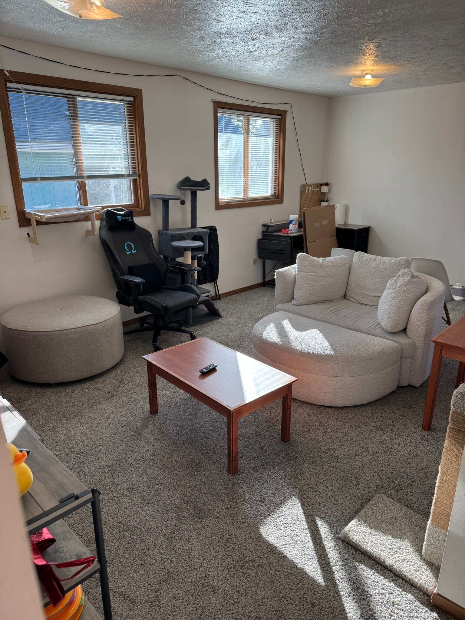 Building Photo - 712 7th St