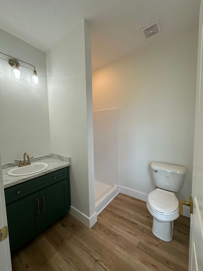 Building Photo - 3 Bed 2 Bath New Construction Home