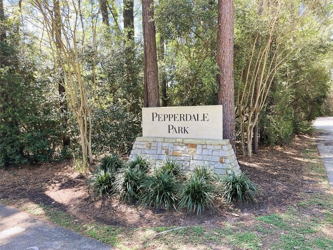 Building Photo - 66 Fulshear Ct