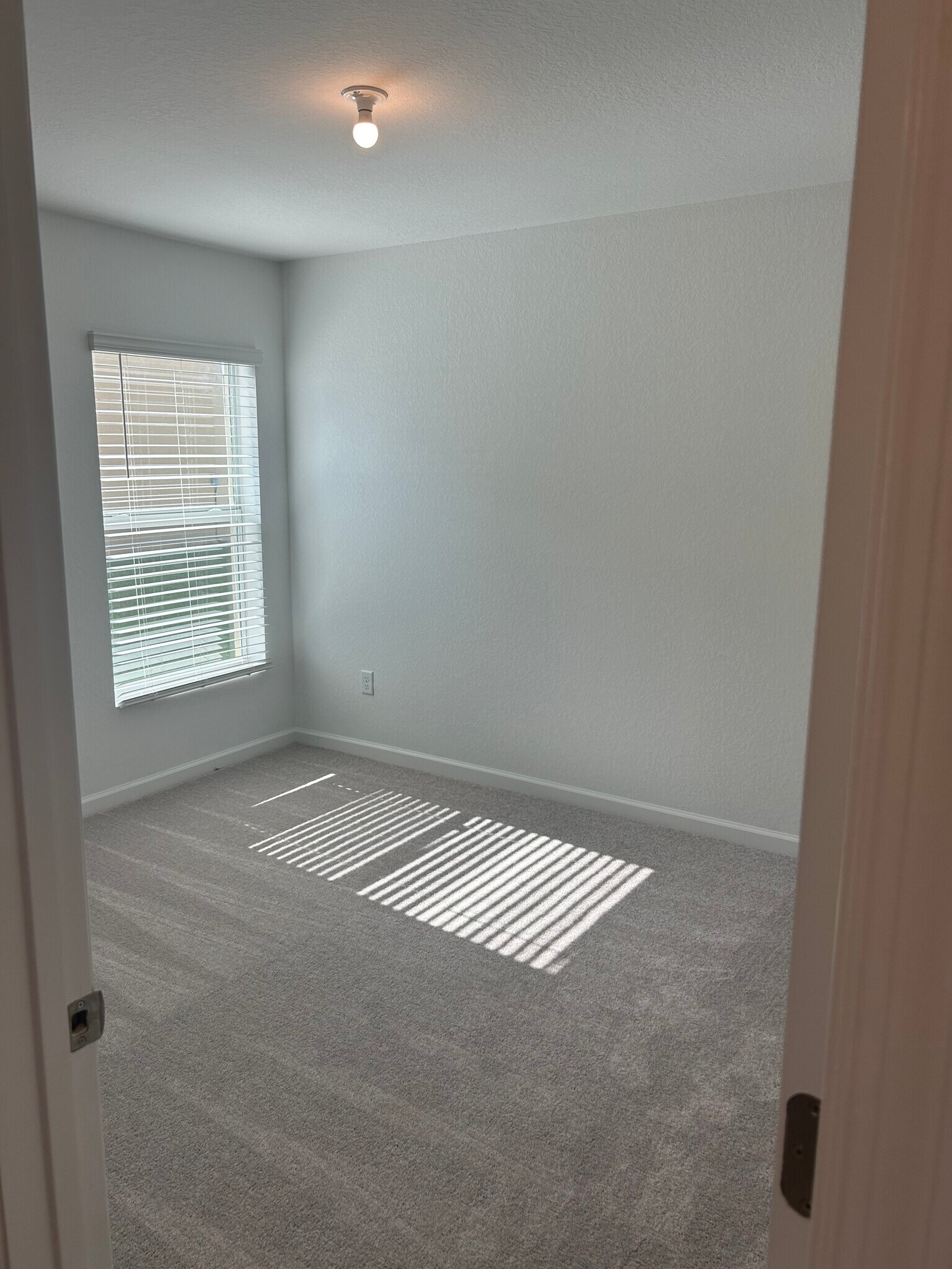 Bedroom #2 - 4213 Longmour Ln