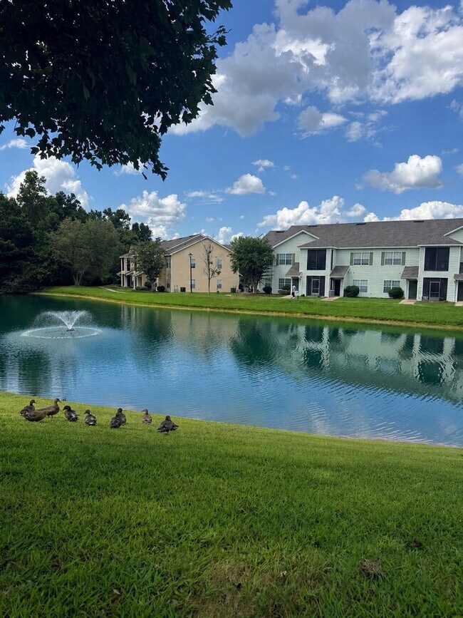 Building Photo - Longleaf Villas