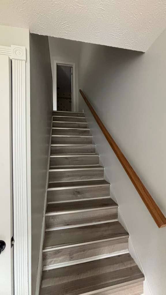 Building Photo - 1651 Mentor Ave