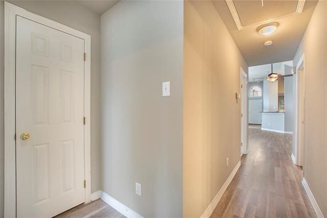Building Photo - 4111 Midrose Trail