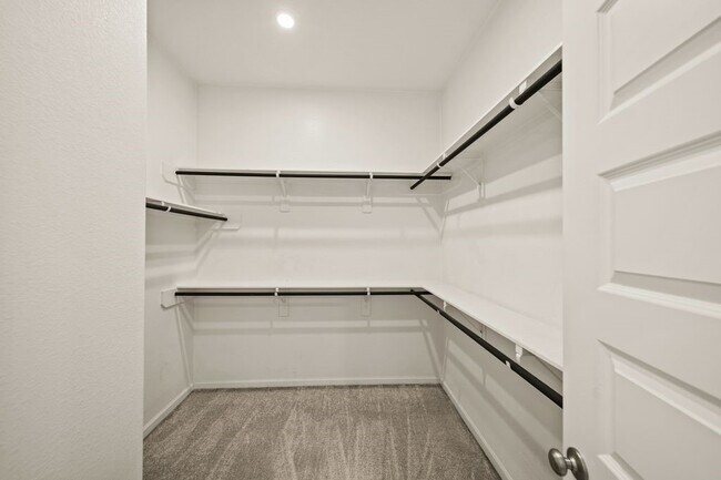 Building Photo - 1703 Rustling Creek Dr
