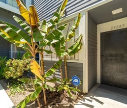 Building Photo - GORGEOUS 3 BEDROOM 3 BATH TOWNHOME