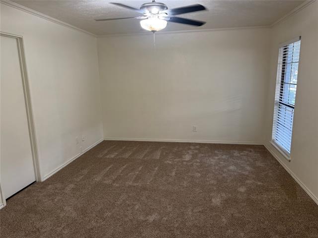 Building Photo - 3716 Mulberry Ln