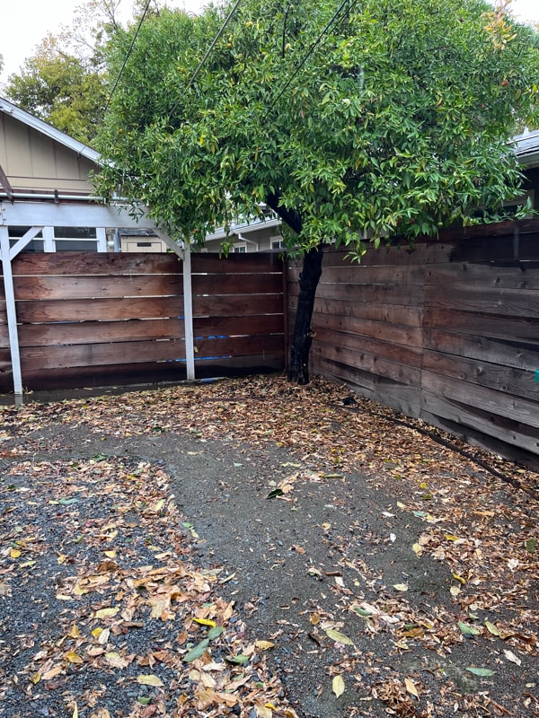 Building Photo - 517 B St